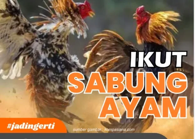 Janji Wakapolres Kediri Dipatahkan Arena Judi Sabung Ayam di Pare, Publik Pertanyakan Keseriusan Penegakan Hukum