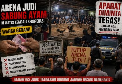 Arena Judi Sabung Ayam di Wates Diduga Bangkit Lagi: Warga Murka, Ketegasan Aparat Dipertanyakan