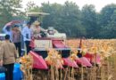 Presiden Prabowo dan Kapolri Panen Raya Jagung Nasional di Tuban Perkuat Ketahanan Pangan*