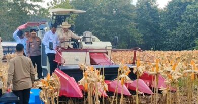 Presiden Prabowo dan Kapolri Panen Raya Jagung Nasional di Tuban Perkuat Ketahanan Pangan*