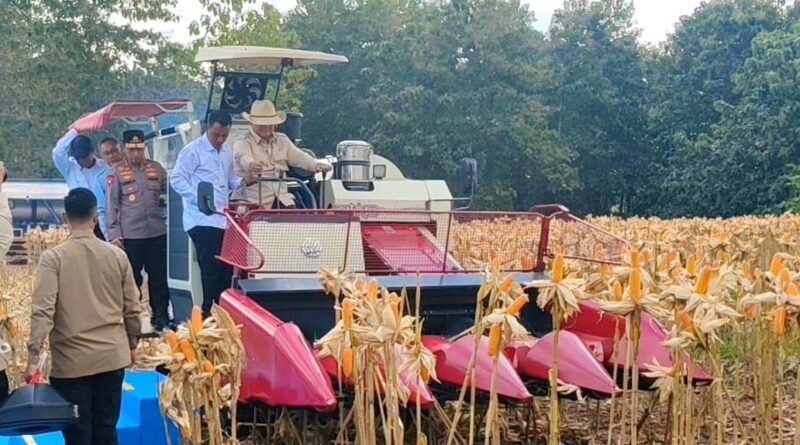 Presiden Prabowo dan Kapolri Panen Raya Jagung Nasional di Tuban Perkuat Ketahanan Pangan*