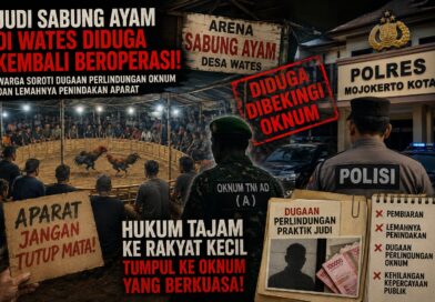 Judi Sabung Ayam di Wates Diduga Kembali Beroperasi, Warga Sindir Ketidakberdayaan Aparat dan Soroti Dugaan Pembiaran