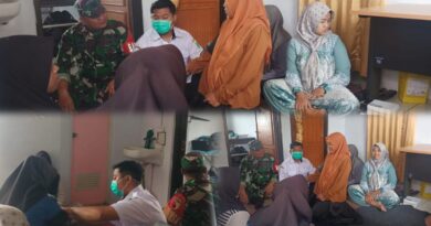 *Kepedulian Kesehatan Ibu Hamil Diperkuat Melalui Pendampingan Posyandu*