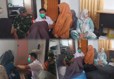 *Kepedulian Kesehatan Ibu Hamil Diperkuat Melalui Pendampingan Posyandu*