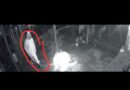 Video viral nya Pocong Di kawasan Desa Katemas hanyalah HOAX,, Ada oknum Yang Tidak Bertanggung Jawab liwat Editan Tersebut.
