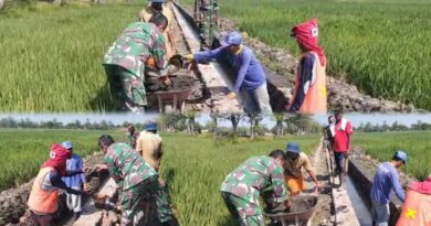 Babinsa dan Warga Slambrit Gotong Royong Bangun Saluran Irigasi Demi Kelancaran Pertanian