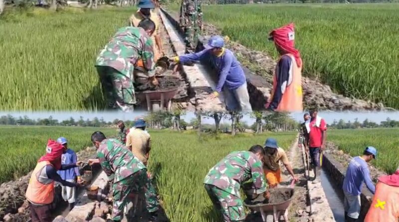 Babinsa dan Warga Slambrit Gotong Royong Bangun Saluran Irigasi Demi Kelancaran Pertanian