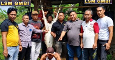 LSM GMBI KSM Wonorejo Gelar Qurban di Desa Sudan, Wujud Kepedulian dan Kebersamaan