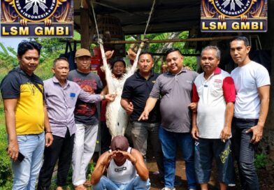 LSM GMBI KSM Wonorejo Gelar Qurban di Desa Sudan, Wujud Kepedulian dan Kebersamaan