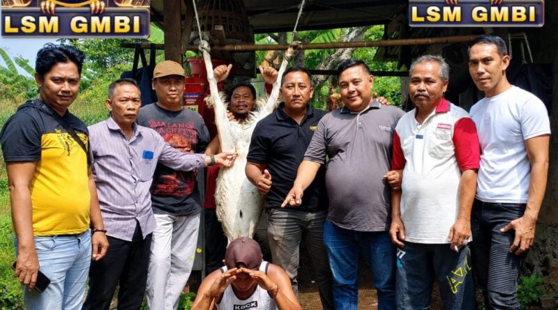 LSM GMBI KSM Wonorejo Gelar Qurban di Desa Sudan, Wujud Kepedulian dan Kebersamaan