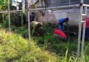 Karya Bhakti Babinsa Demi Kelancaran Aktivitas Warga