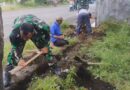 Babinsa Koramil Rejoso Hadir Bantu Kesulitan Warga