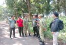 Kasdim 0819/Pasuruan Tinjau Lahan Persiapan Batalyon TP di Kawasan Perhutani Gempol
