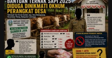 Dugaan Penyelewengan Bantuan Sapi di Balongwangi Penuh Kontroversi Betapa Tidak Bantuan Tersebut Dikuasai Oleh Kasun SATIM Dusun Geger..