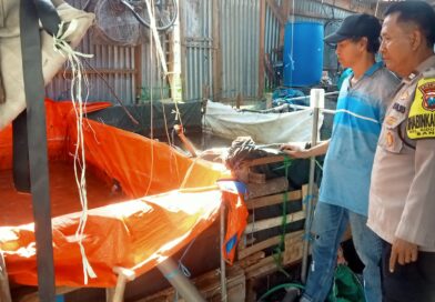 Bhabinkamtibmas Bangil Dampingi Warga Kembangkan Budidaya Lele, Dukung Program Pekarangan Pangan Bergizi
