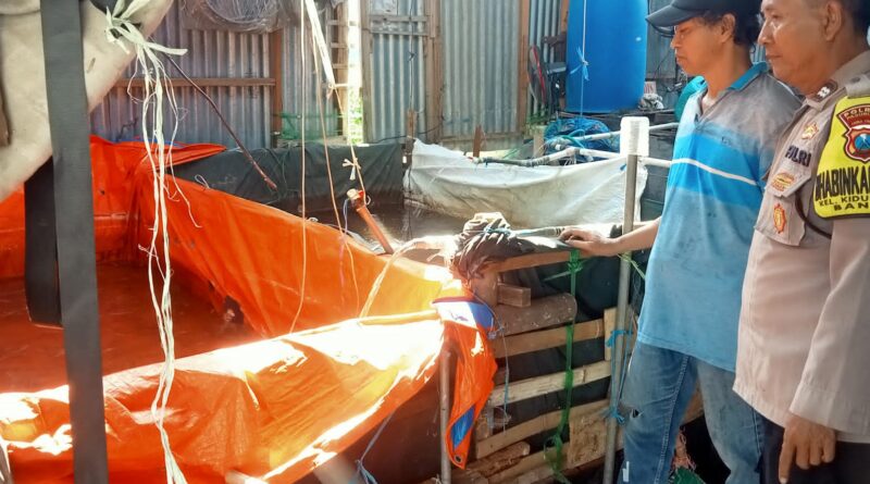 Bhabinkamtibmas Bangil Dampingi Warga Kembangkan Budidaya Lele, Dukung Program Pekarangan Pangan Bergizi