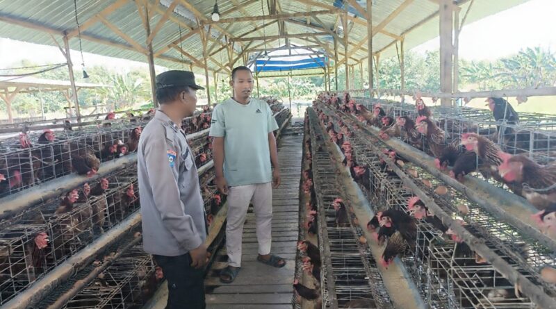 Bhabinkamtibmas Polsek Rembang Laksanakan Pemantauan Peternakan Ayam Petelur Dukung Ketahanan Pangan Nasional