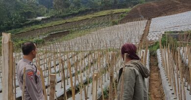 Bhabinkamtibmas Desa Gendro Tinjau Tanaman Cabai, Dukung Program Pekarangan Pangan Bergizi