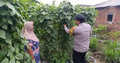 Polsek Nongkojajar Dampingi Warga Kembangkan Buncis untuk Perkuat Ketahanan Pangan di Tutur