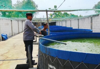 Bhabinkamtibmas Polsek Rembang Pantau Budidaya Lele, Dukung Ketahanan Pangan Nasional
