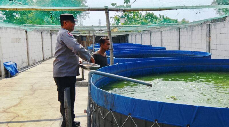 Bhabinkamtibmas Polsek Rembang Pantau Budidaya Lele, Dukung Ketahanan Pangan Nasional
