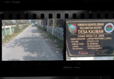 Swakelola Diambil Alih: Mutu Terancam, Kades dan Pihak Ketiga Terancam Jerat Pidana