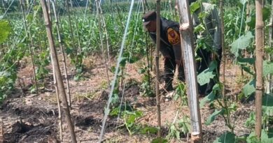 Gugus Tugas Ketahanan Pangan Polsek Rembang Pantau Lahan Gambas Milik Petani Binaan