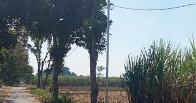 PJU Dana Desa Sidowareg: Sejumlah Lampu Terlepas, Pengawasan Pelaksanaan Pekerjaan Menjadi Sorotan