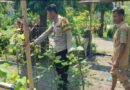 Bhabinkamtibmas Polsek Bangil Dorong Ketahanan Pangan Lewat P2B di Kalirejo*