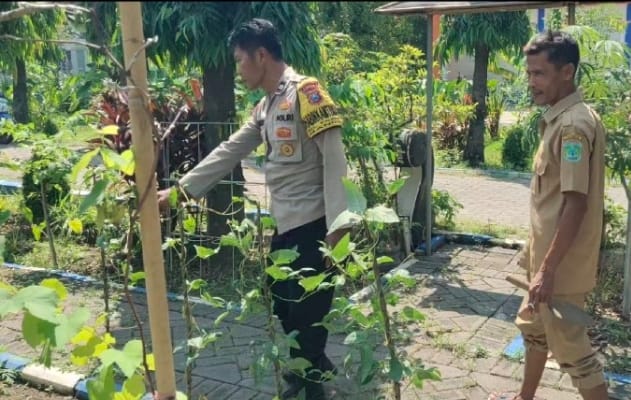 Bhabinkamtibmas Polsek Bangil Dorong Ketahanan Pangan Lewat P2B di Kalirejo*
