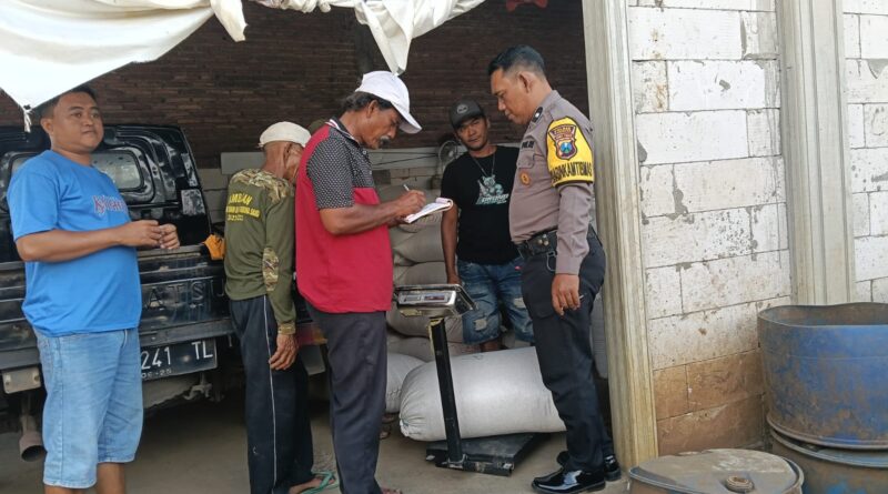 Jagung Petani Sukorejo Tembus Bulog, Polisi Kawal Pengiriman Hasil Panen