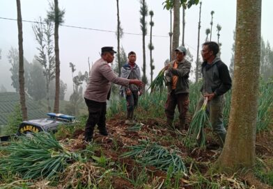 Polsek Tosari Dampingi Petani Bawang, Wujudkan Ketahanan Pangan di Lereng Bromo