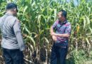 Bhabinkamtibmas Polsek Sukorejo Dorong Petani Optimalkan Lahan Produktif