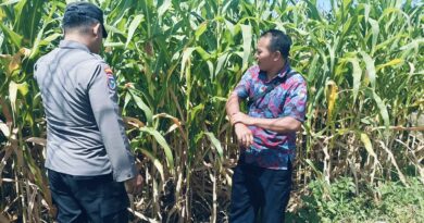 Bhabinkamtibmas Polsek Sukorejo Dorong Petani Optimalkan Lahan Produktif