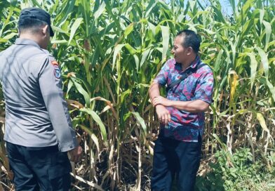 Bhabinkamtibmas Polsek Sukorejo Dorong Petani Optimalkan Lahan Produktif