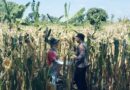 BHABINKAMTIBMAS SUKOREJO GERAKKAN MASYARAKAT MANFAATKAN LAHAN DUKUNG KETAHANAN PANGAN NASIONAL