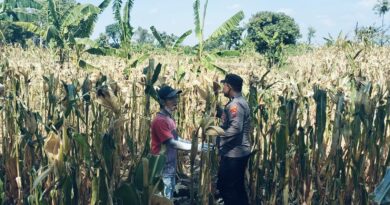 BHABINKAMTIBMAS SUKOREJO GERAKKAN MASYARAKAT MANFAATKAN LAHAN DUKUNG KETAHANAN PANGAN NASIONAL