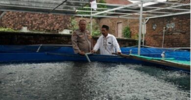 Budidaya Lele Warga Tambakan Berkembang Baik, Bhabinkamtibmas Dukung Program Pekarangan Bergizi