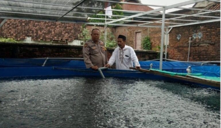 Budidaya Lele Warga Tambakan Berkembang Baik, Bhabinkamtibmas Dukung Program Pekarangan Bergizi