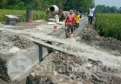 Dugaan Pengelolaan Program P3A Bhakti Mandiri di Desa Duyung Jadi Sorotan Warga