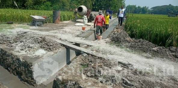 Dugaan Pengelolaan Program P3A Bhakti Mandiri di Desa Duyung Jadi Sorotan Warga