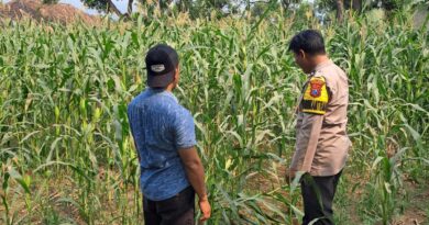 Bhabinkamtibmas Polsek Rembang Pantau Lahan Jagung Warga Dukung Asta Cita Ketahanan Pangan
