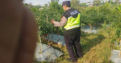 Polsek Nongkojajar Dukung Budidaya Cabai di Pungging untuk Sukseskan Ketahanan Pangan