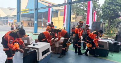 Terbang dengan Pesawat Khusus, Polri Kerahkan 10 K9 SAR Berpengalaman ke Flores, Misi Pencarian Korban*