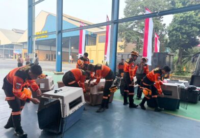 Terbang dengan Pesawat Khusus, Polri Kerahkan 10 K9 SAR Berpengalaman ke Flores, Misi Pencarian Korban*