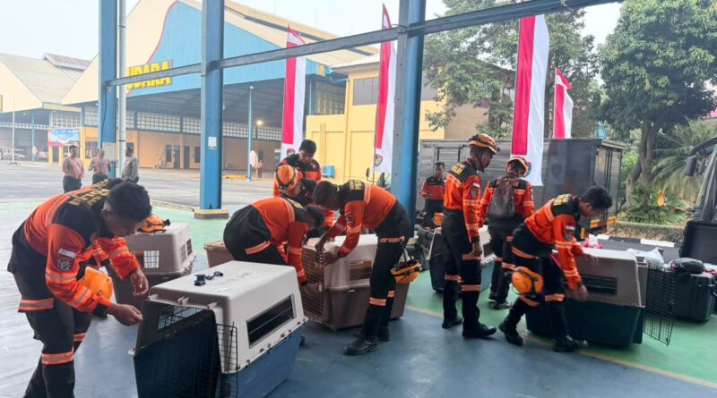Terbang dengan Pesawat Khusus, Polri Kerahkan 10 K9 SAR Berpengalaman ke Flores, Misi Pencarian Korban*