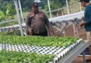 Polsek Rembang Pantau Lahan P2B di Desa Pekoren Dukung Ketahanan Pangan
