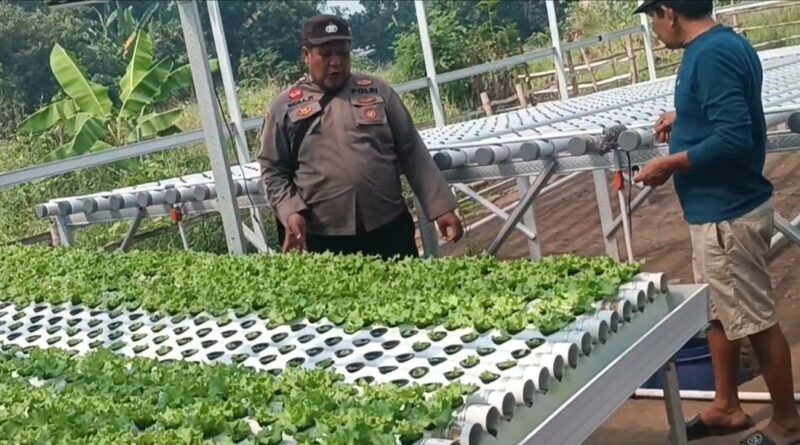 Polsek Rembang Pantau Lahan P2B di Desa Pekoren Dukung Ketahanan Pangan