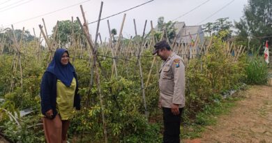 Bhabinkamtibmas Polsek Nongkojajar Pantau Tanaman Cabe, Dukung Program Ketahanan Pangan Nasional
