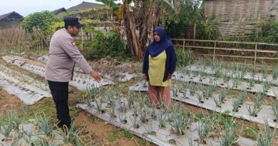 Bhabinkamtibmas Nongkojajar Pantau Tanaman Bawang Merah, Dukung Ketahanan Pangan Nasional
